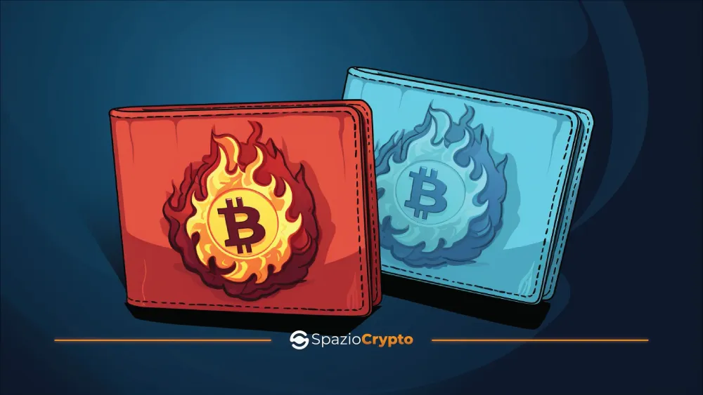 Hot vs. Cold Wallet: Crypto Wallet Types - Spaziocrypto