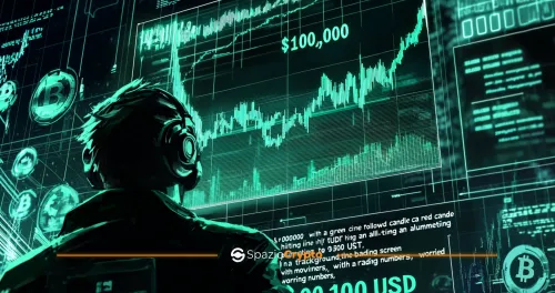 Bitcoin è Rimasto Sopra i 100.000 Dollari per Meno di un Giorno. Che Cosa è Successo?