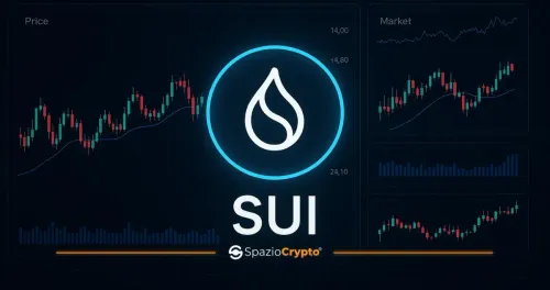 Top 5 Memecoin Sui Maggio 2025