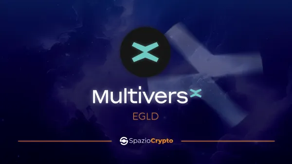 MultiversX: Technical Successes and Leadership Challenges